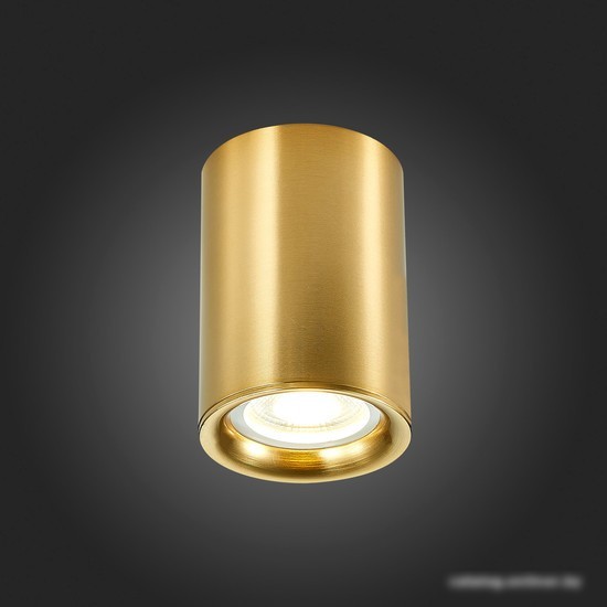 Подвесная люстра ST Luce ST114.207.01
