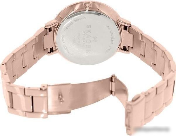 Наручные часы Skagen SKW2331