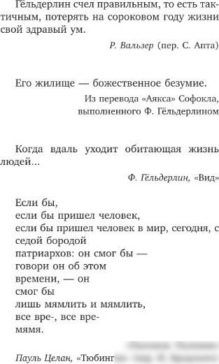 Книга издательства АСТ. Безумие Гельдерлина. Жизнь, поделенная надвое, мягкая обложка (Агамбен Джорджо)