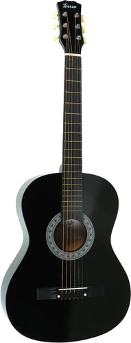 Акустическая гитара Terris TF-3802A BK