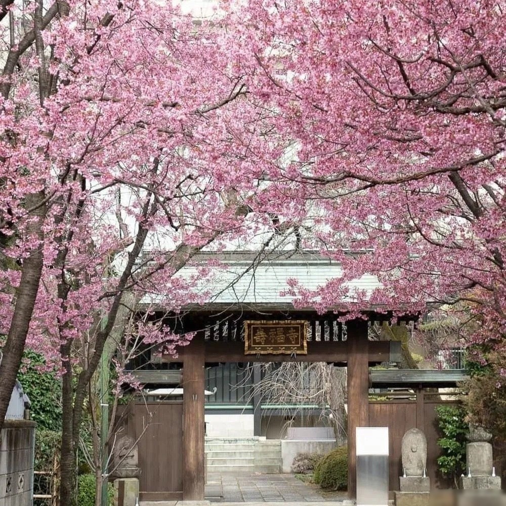 Фотообои Citydecor Природа 102 200x260