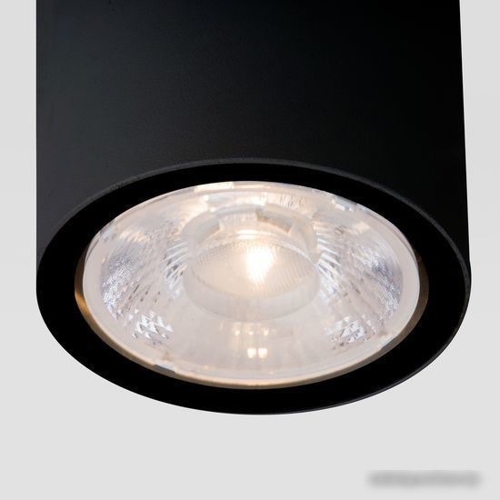 Уличный накладной светильник Elektrostandard Light 2103 35131/H (черный)