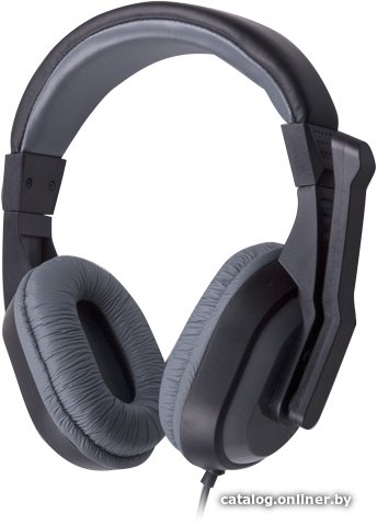 Наушники Ritmix RH-534M