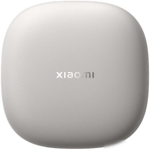 Наушники Xiaomi OpenWear Stereo Pro M2503E1 (титановый серый, международная версия)