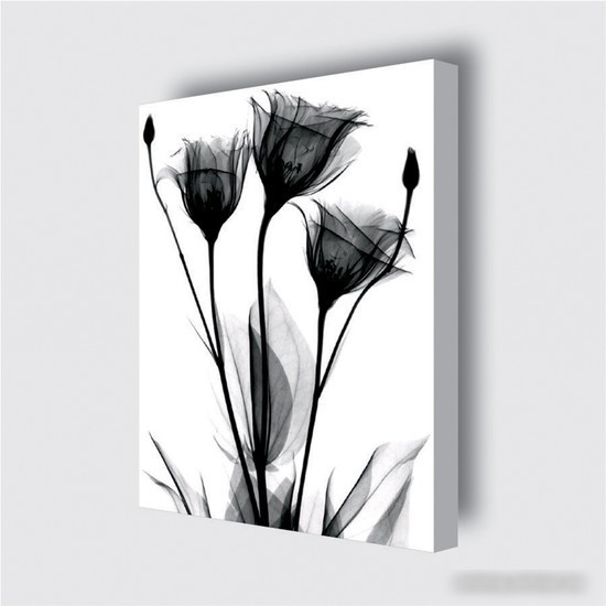 Картина Stamprint Черные цветы 1 TR016 (45x35)