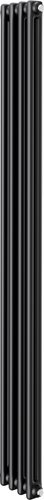 Стальной трубчатый радиатор Royal Thermo Insignia C2180 - 04 секций RAL9005m