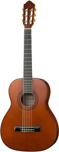 Акустическая гитара Naranda CG320-3/4
