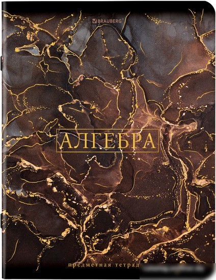 Тетрадь предметная BRAUBERG Marble 404326 (12шт)