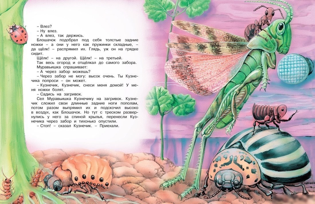 Книга издательства Махаон. Как муравьишка домой спешил, твердая обложка (Бианки Виталий)