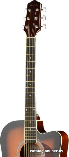 Акустическая гитара Naranda DG120CBS