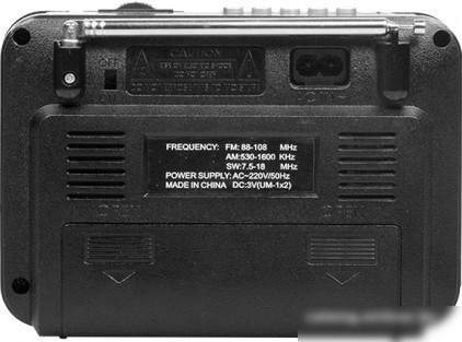 Радиоприемник Ritmix RPR-171