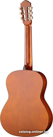 Акустическая гитара Naranda CG120-4/4