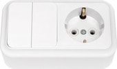 Розетка Bylectrica Пралеска 2В-РЦ-529 (белый)