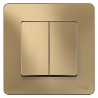 Выключатель Schneider Electric BLNVS010504