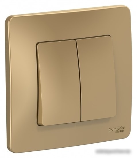 Выключатель Schneider Electric BLNVS010504