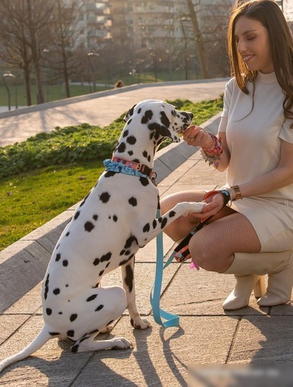 Поводок United Pets Complete Me 2 (S, голубой/оранжевый)