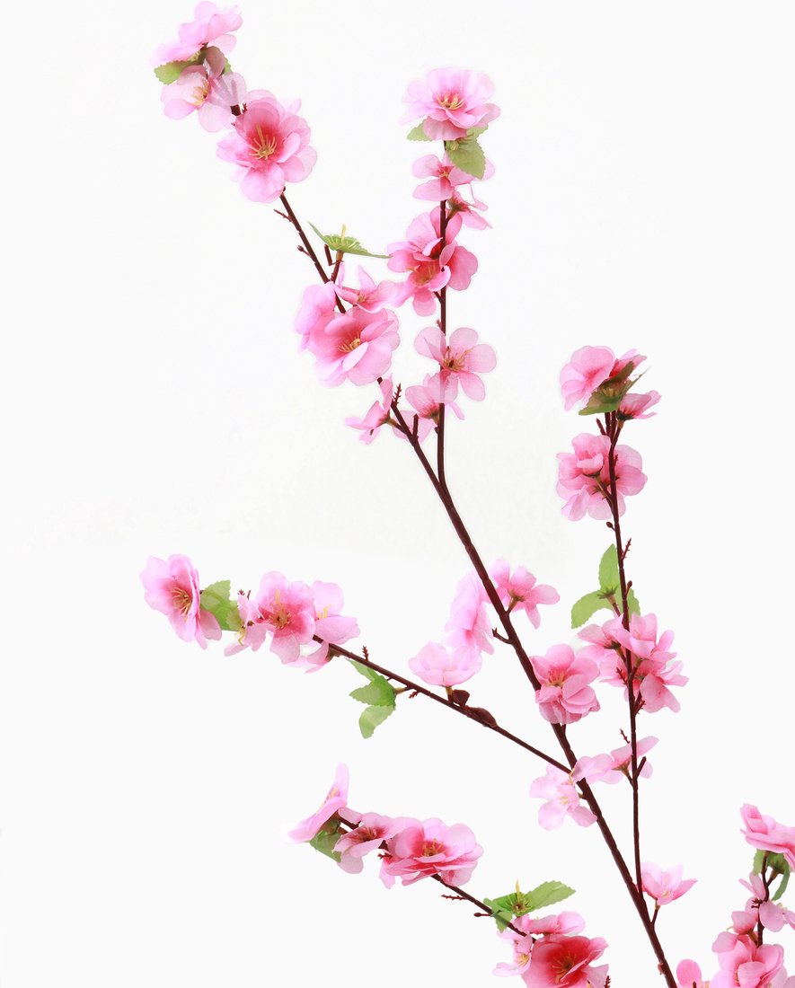 Искусственный цветок Poetry in flowers Сакура нежность 701094