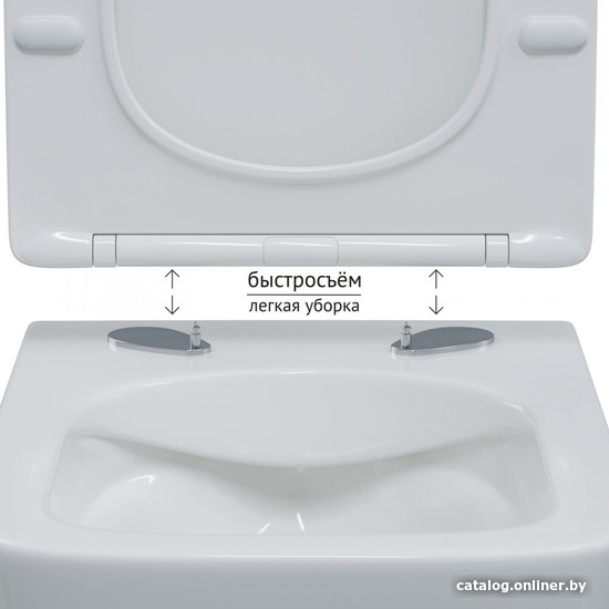 Унитаз подвесной Berges Wasserhaus Floe S Rimless 082134