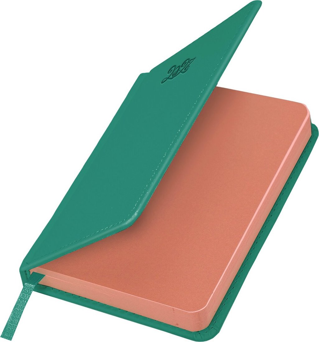 Ежедневник BRAUBERG Rainbow 2027 118211 (бирюзовый)