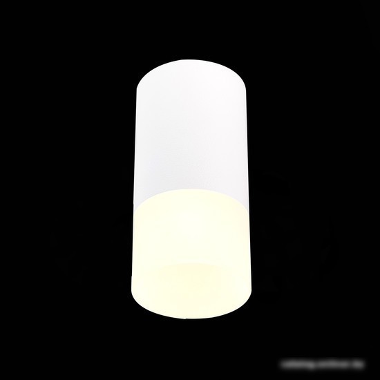 Припотолочная люстра ST Luce ST100.512.01