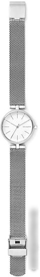 Наручные часы Skagen SKW2642
