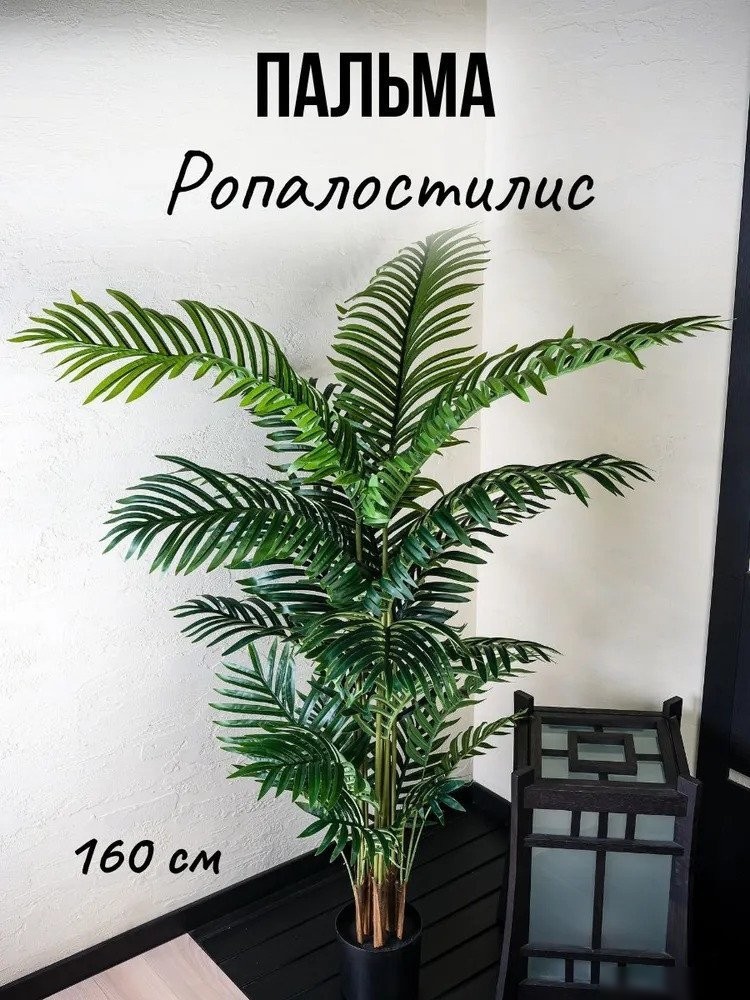 Искусственное растение Merry Bear Home Decor Пальма Ропалостилис Элит A144165 (165см)
