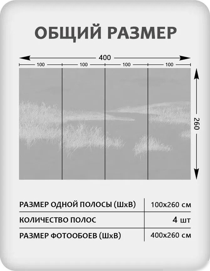 Фотообои Mio Tesoro Невесомость 61 (400x260)