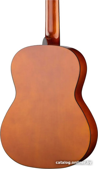 Акустическая гитара Naranda CG120-4/4