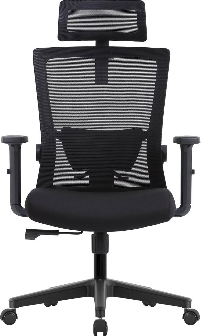 Офисное кресло Evolution ErgoLine 1 (черный)
