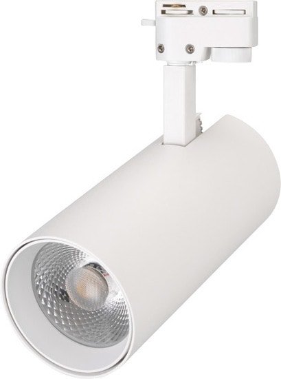 Трековый светильник Arlight LGD-GERA-2TR-R90-30W Day4000 025930(1)
