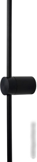 Бра LOFT IT Rays 10053BK