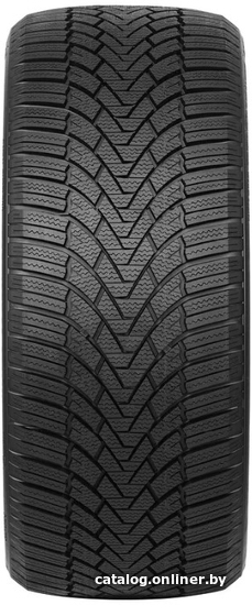 Автомобильные шины Arivo Winmaster ProX ARW3 225/45R19 96V