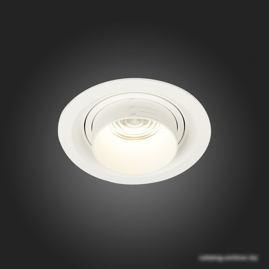 Точечный светильник ST Luce Zoom ST701.548.12