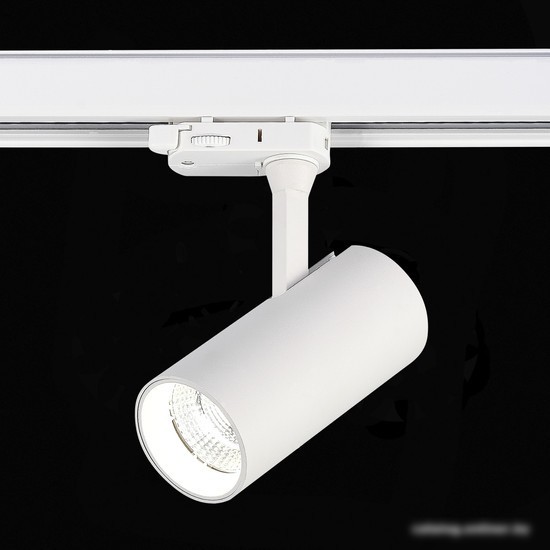 Трековый светильник ST Luce ST661.536.10