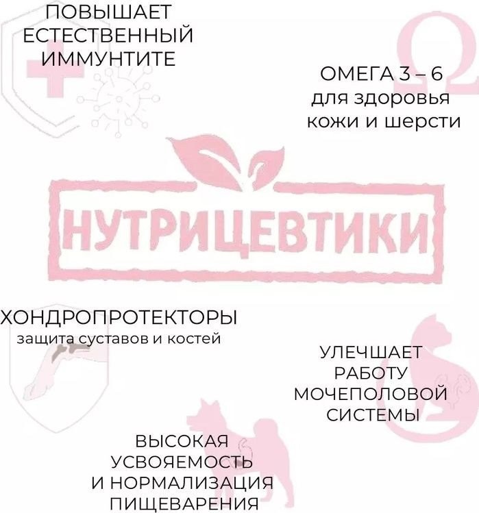Сухой корм для собак Edel Small&Mini 10 кг