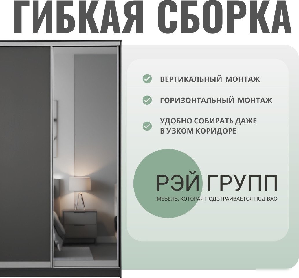 Шкаф-купе Рэйгрупп 203 BBX Elgon РГ-08.02 (белый премиум/белый премиум/хром)