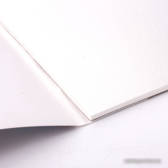Альбом для рисования BRAUBERG Art 105911 (10 л)