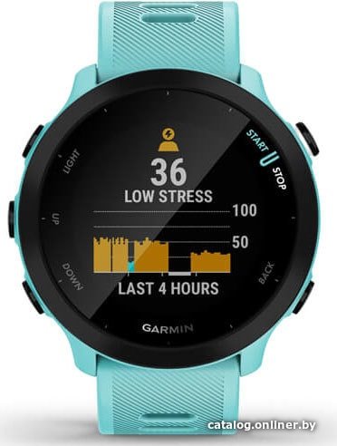 Умные часы Garmin Forerunner 55 (бирюзовый)