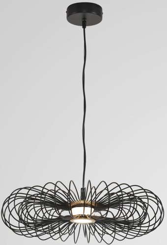 Подвесная люстра Lumion Camomile 8301/9L