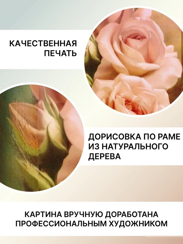 Картина Декарт 8Л0027 (в раме)