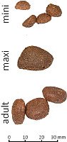 Сухой корм для собак Farmina N&D Low Grain Lamb&Blueberry Puppy Mini (7кг)