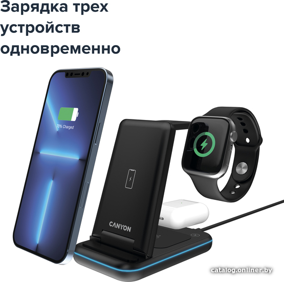 Беспроводное зарядное Canyon WS-304