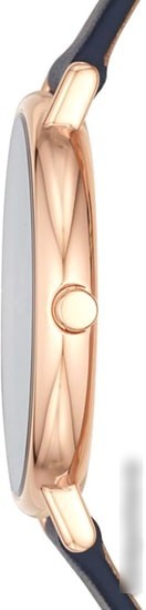 Наручные часы Skagen SKW2731