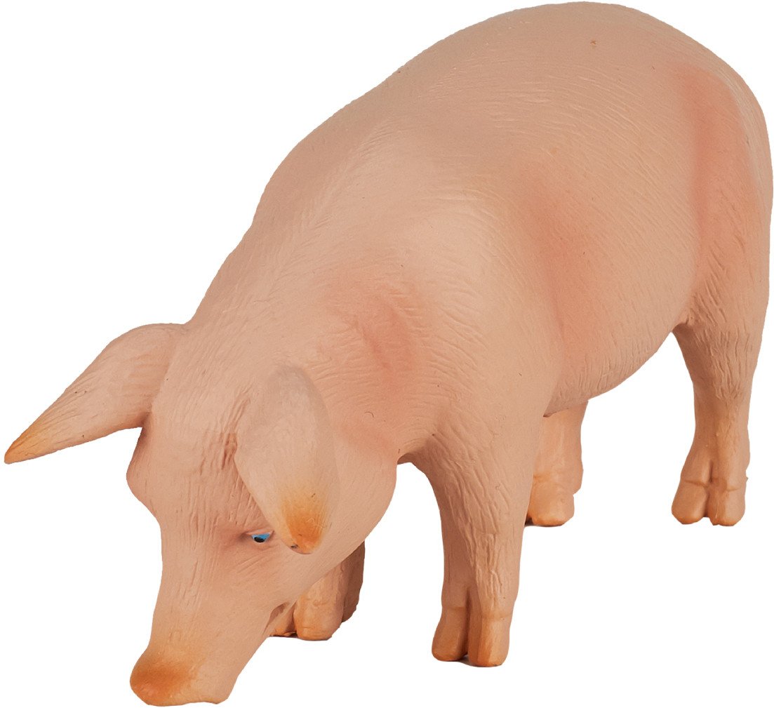 Фигурка Konik Свинья Самец AMF1029