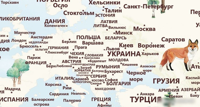 Фотообои ФабрикаФресок Детская карта с лесом 314200 (400x200)