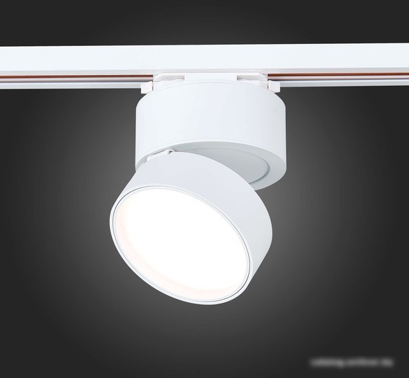 Светильник ST Luce ST651.536.14