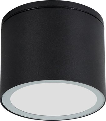 Уличный подвесной светильник Arte Lamp Piautos A1913PF-1BK