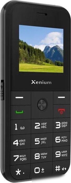 Кнопочный телефон Xenium X718 (черный)
