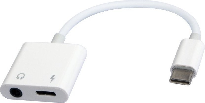 Кабель Cablexpert A-CM-3.5FP-01
