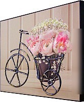 Картина Декарт 8Л1248